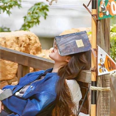 我的新野蛮女友
